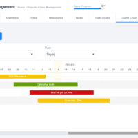 gantt_chart